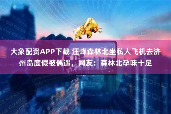 大象配资APP下载 汪峰森林北坐私人飞机去济州岛度假被偶遇，网友：森林北孕味十足