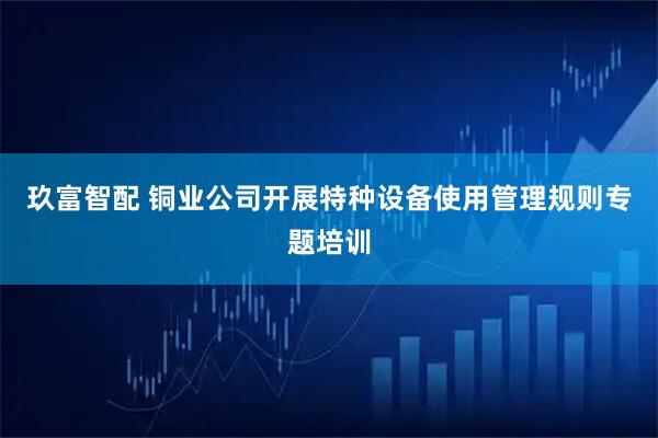 玖富智配 铜业公司开展特种设备使用管理规则专题培训